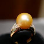 DSC00339